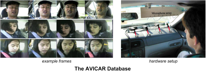 AVICAR database